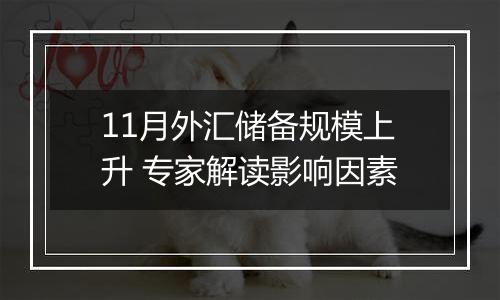 11月外汇储备规模上升 专家解读影响因素