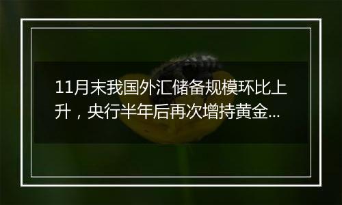 11月末我国外汇储备规模环比上升,央行半年后再次增持黄金储备