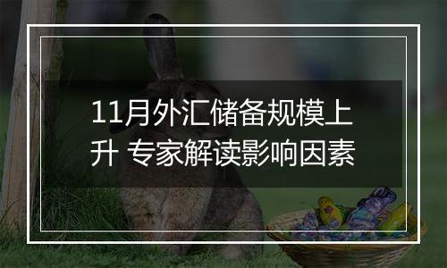 11月外汇储备规模上升 专家解读影响因素