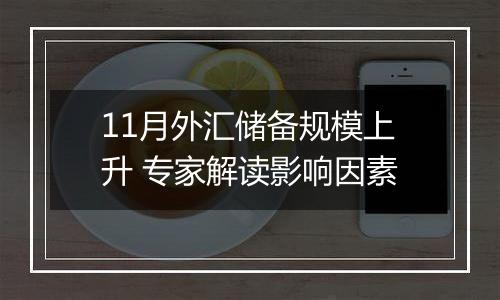 11月外汇储备规模上升 专家解读影响因素