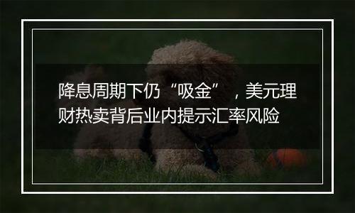 降息周期下仍“吸金”,美元理财热卖背后业内提示汇率风险