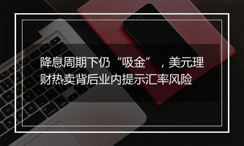 降息周期下仍“吸金”,美元理财热卖背后业内提示汇率风险