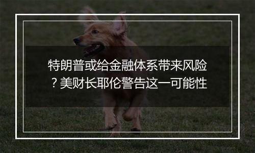 特朗普或给金融体系带来风险?美财长耶伦警告这一可能性