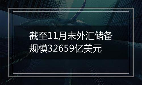 截至11月末外汇储备规模32659亿美元