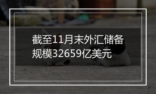 截至11月末外汇储备规模32659亿美元