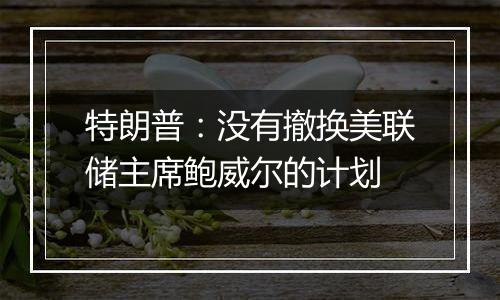 特朗普:没有撤换美联储主席鲍威尔的计划