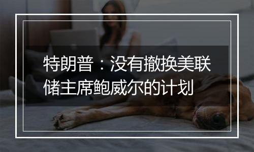 特朗普:没有撤换美联储主席鲍威尔的计划