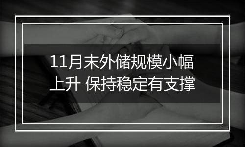 11月末外储规模小幅上升 保持稳定有支撑