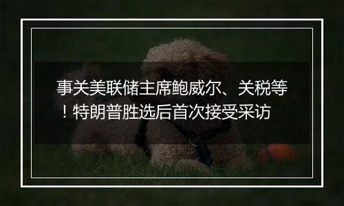 事关美联储主席鲍威尔、关税等!特朗普胜选后首次接受采访