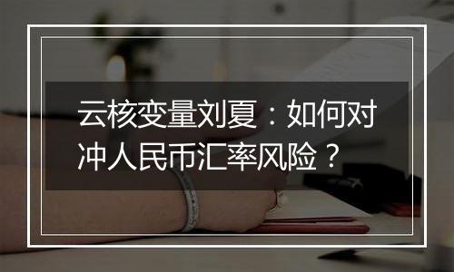 云核变量刘夏:如何对冲人民币汇率风险?