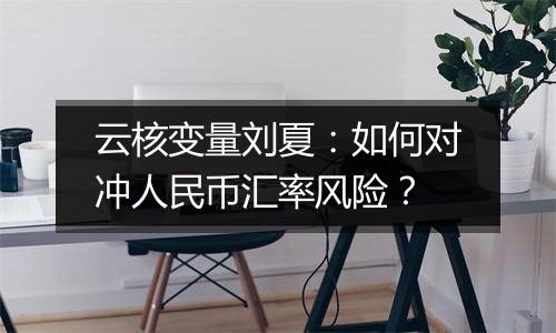 云核变量刘夏:如何对冲人民币汇率风险?