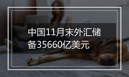 中国11月末外汇储备35660亿美元
