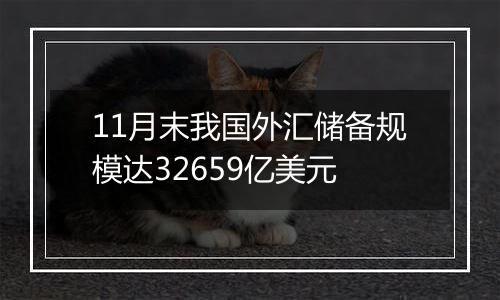 11月末我国外汇储备规模达32659亿美元