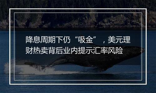 降息周期下仍“吸金”,美元理财热卖背后业内提示汇率风险