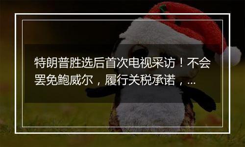 特朗普胜选后首次电视采访!不会罢免鲍威尔,履行关税承诺,考虑取消出生公民权