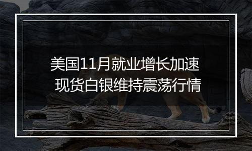美国11月就业增长加速 现货白银维持震荡行情