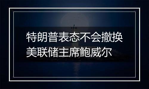 特朗普表态不会撤换美联储主席鲍威尔