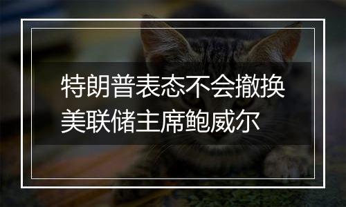 特朗普表态不会撤换美联储主席鲍威尔