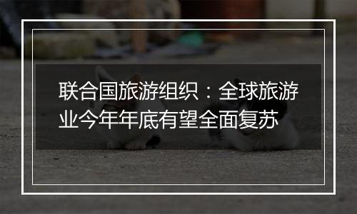联合国旅游组织:全球旅游业今年年底有望全面复苏