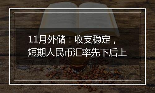 11月外储:收支稳定,短期人民币汇率先下后上
