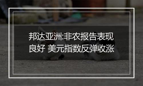 邦达亚洲:非农报告表现良好 美元指数反弹收涨