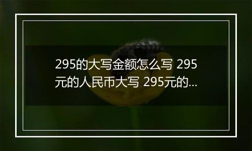 295的大写金额怎么写 295元的人民币大写 295元的数字大写