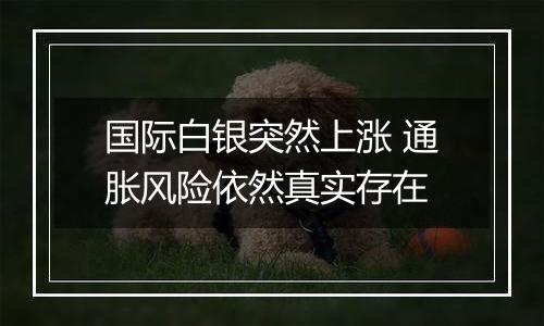 国际白银突然上涨 通胀风险依然真实存在