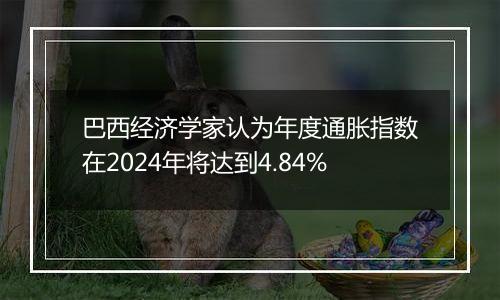 巴西经济学家认为年度通胀指数在2024年将达到4.84%
