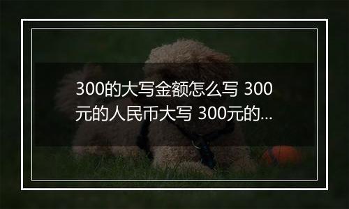 300的大写金额怎么写 300元的人民币大写 300元的数字大写