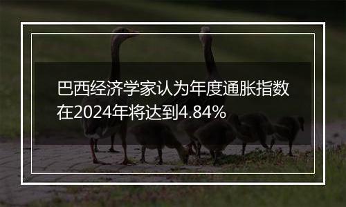 巴西经济学家认为年度通胀指数在2024年将达到4.84%