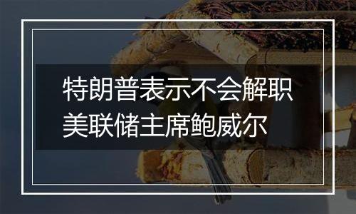特朗普表示不会解职美联储主席鲍威尔