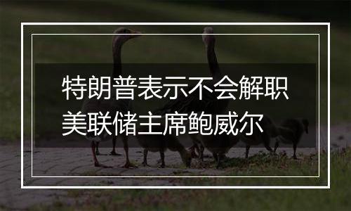 特朗普表示不会解职美联储主席鲍威尔