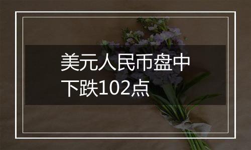 美元人民币盘中下跌102点