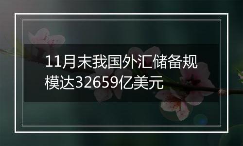 11月末我国外汇储备规模达32659亿美元