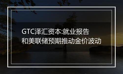 GTC泽汇资本:就业报告和美联储预期推动金价波动