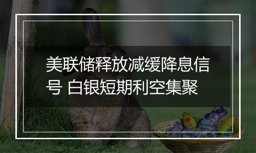 美联储释放减缓降息信号 白银短期利空集聚