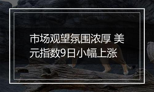 市场观望氛围浓厚 美元指数9日小幅上涨