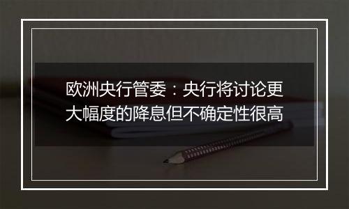 欧洲央行管委:央行将讨论更大幅度的降息但不确定性很高