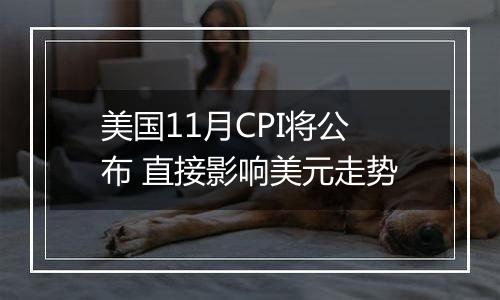 美国11月CPI将公布 直接影响美元走势