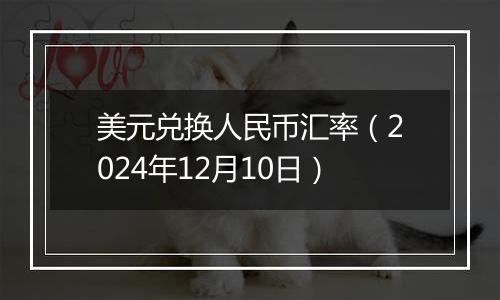 美元兑换人民币汇率(2024年12月10日)