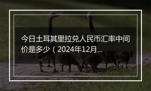 今日土耳其里拉兑人民币汇率中间价是多少(2024年12月9日)