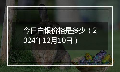 今日白银价格是多少（2024年12月10日）