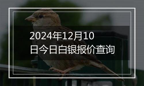 2024年12月10日今日白银报价查询