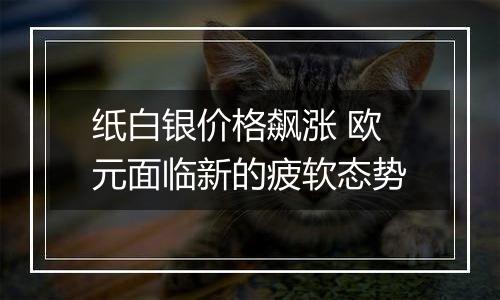 纸白银价格飙涨 欧元面临新的疲软态势