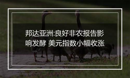 邦达亚洲:良好非农报告影响发酵 美元指数小幅收涨