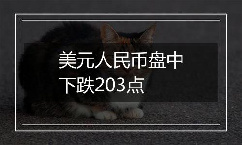 美元人民币盘中下跌203点