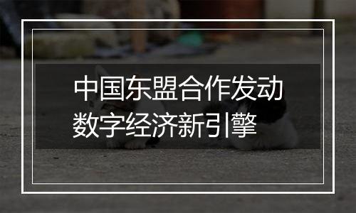 中国东盟合作发动数字经济新引擎