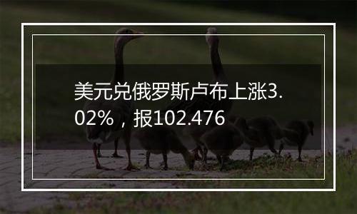 美元兑俄罗斯卢布上涨3.02%,报102.476