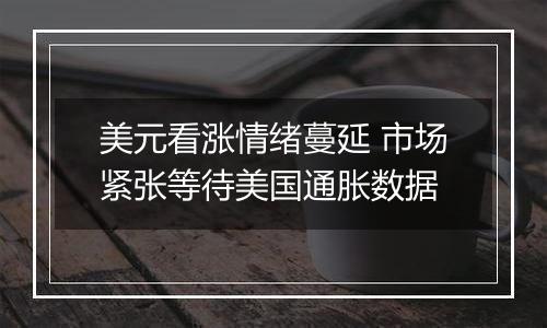 美元看涨情绪蔓延 市场紧张等待美国通胀数据