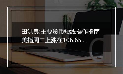 田洪良:主要货币短线操作指南 美指周二上涨在106.65之下遇阻